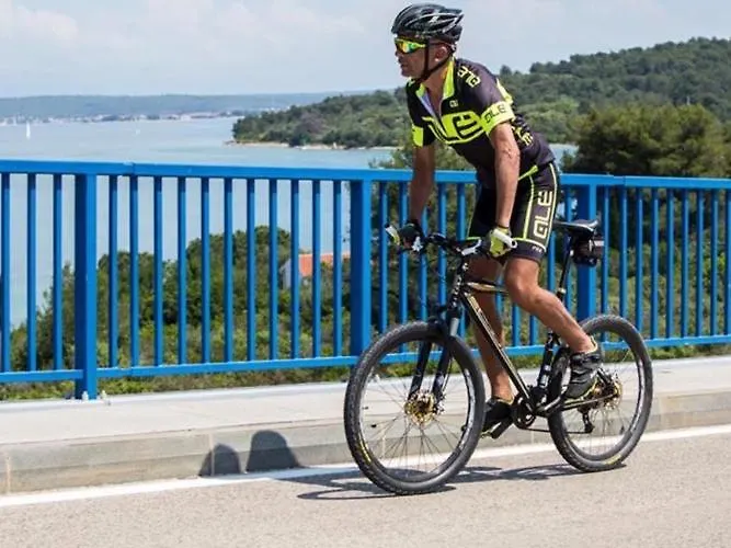 Appartement Denis Ždrelac