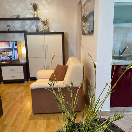 Denis Apartamento